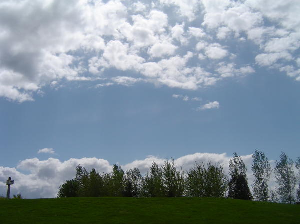 DSC06978