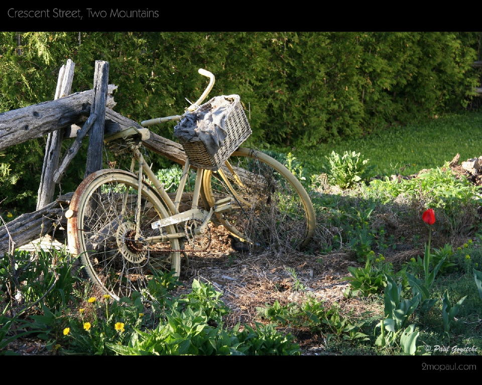 WP-BikeCrescent