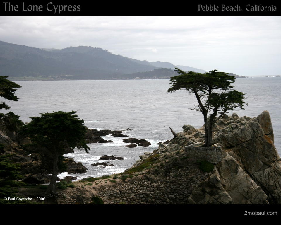 WPCalifornia3
